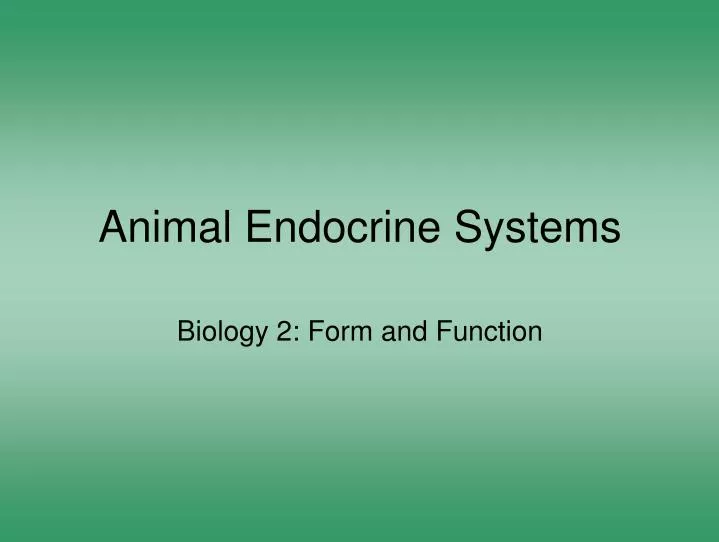 animal endocrine systems