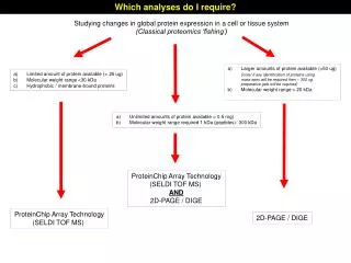 Studying changes in global protein expression in a cell or tissue system