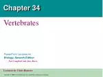 The Evolution and Diversity of Vertebrates: Insights from a Half Billion Years - slide 1