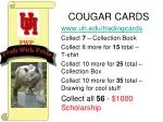COUGAR CARDS - slide 1