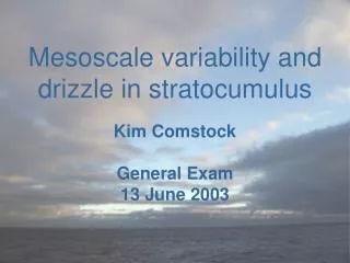 Mesoscale variability and drizzle in stratocumulus