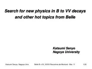 Search for new physics in B to VV decays and other hot topics from Belle