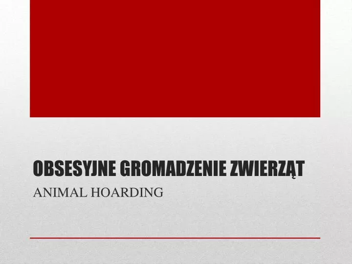 obsesyjne gromadzenie zwierz t