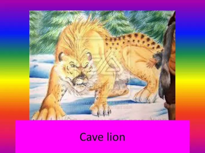cave lion