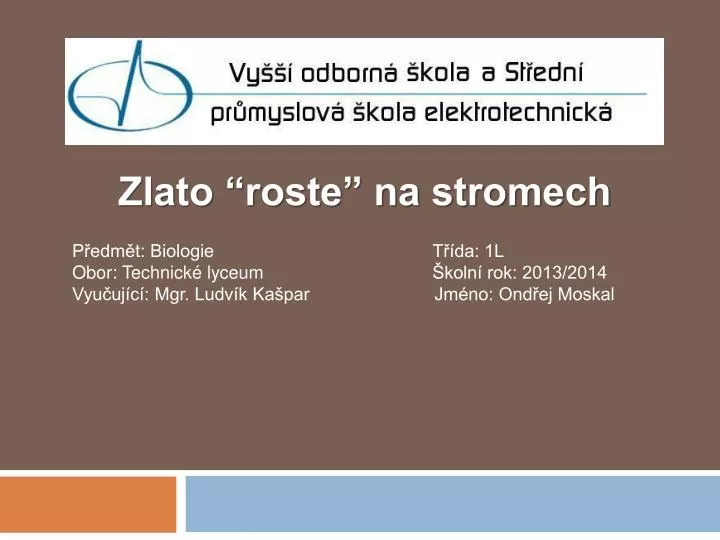 zlato roste na stromech