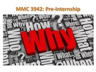 MMC 3942: Pre-Internship