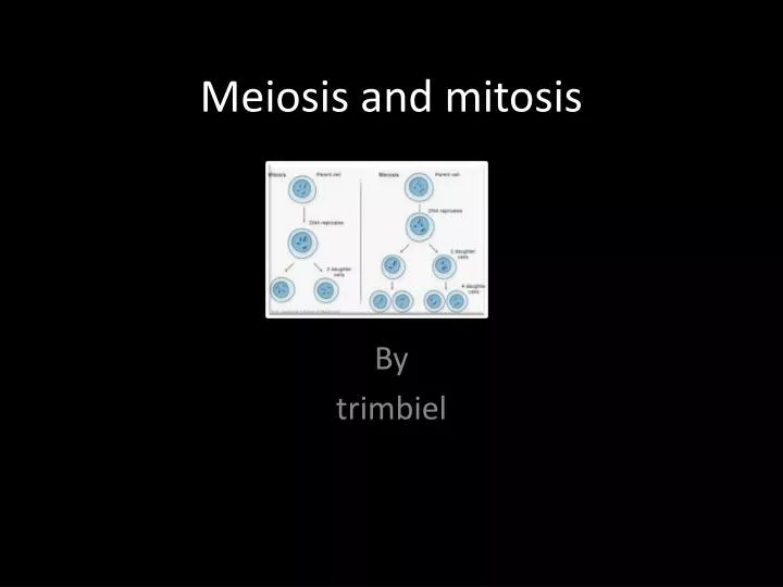 meiosis and mitosis