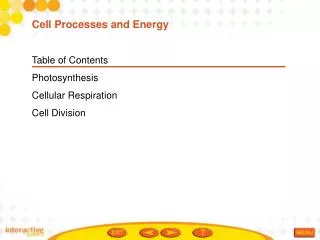 Table of Contents Photosynthesis Cellular Respiration Cell Division