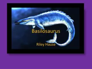 Basilosaurus