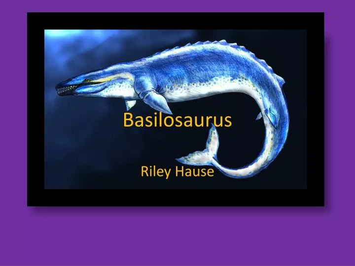 basilosaurus
