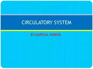 circulatory system