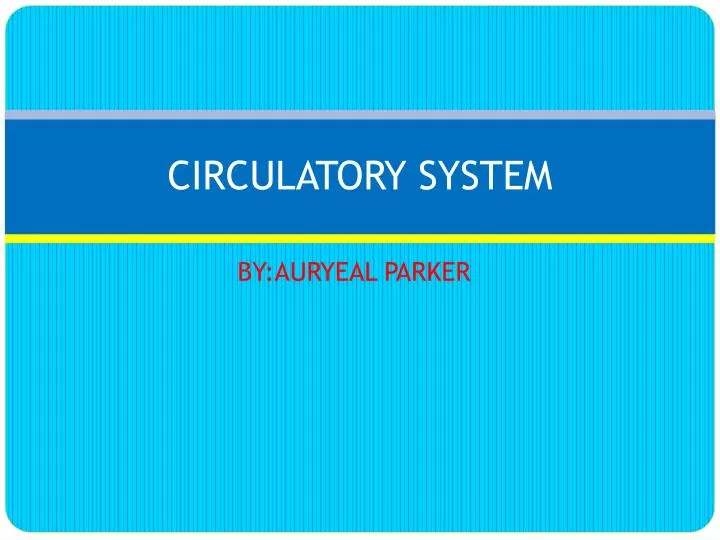 circulatory system