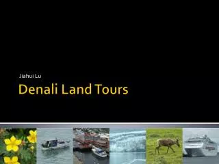 Denali Land Tours