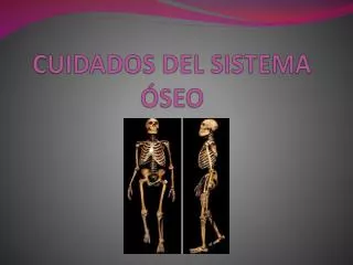 cuidados del sistema seo