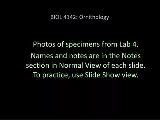 biol 4142 ornithology