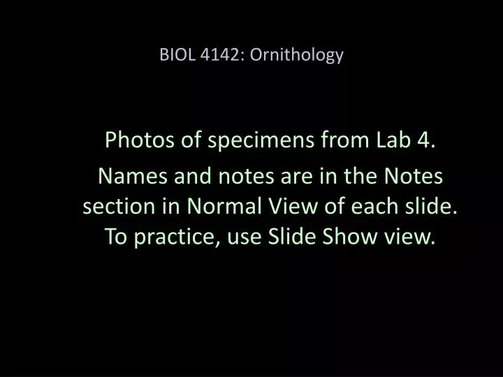 biol 4142 ornithology