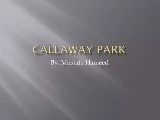 Callaway Park