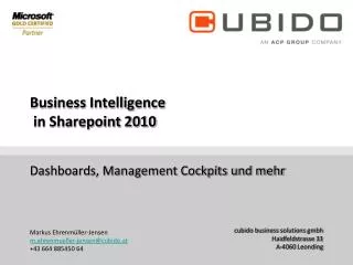 business intelligence in sharepoint 2010