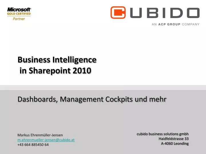 business intelligence in sharepoint 2010