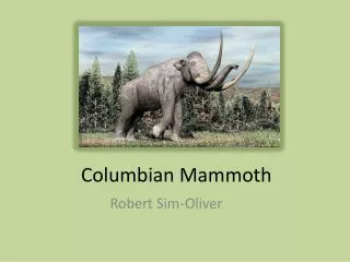 Columbian Mammoth