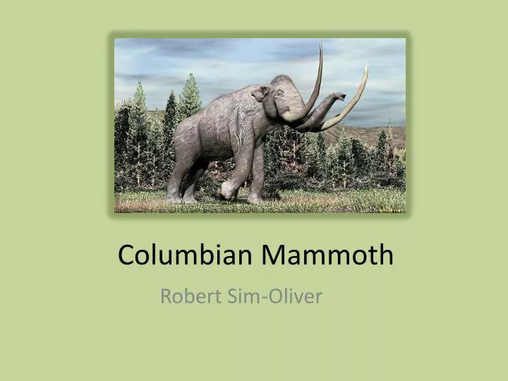 columbian mammoth