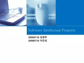 software intellectual property