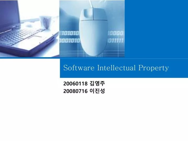software intellectual property