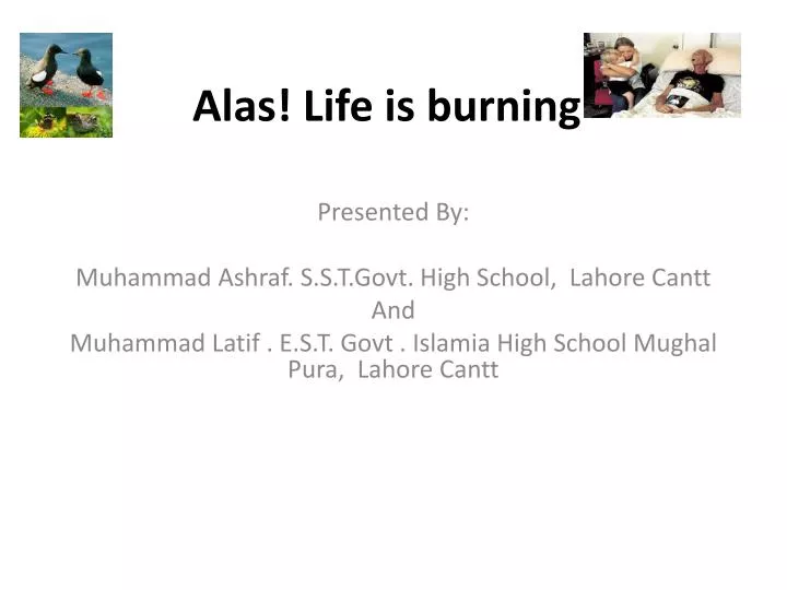 alas life is burning