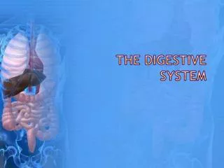 The Digestive System