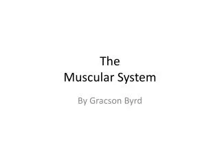 The M uscular System