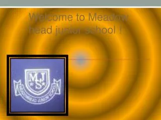 Welcome to Meadow head junior school !