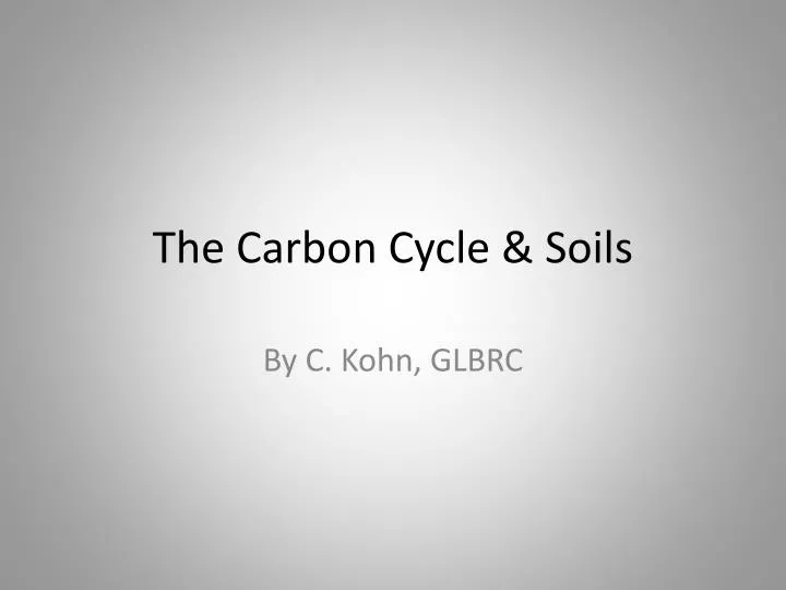 the carbon cycle soils