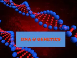 DNA &amp; GENETICS