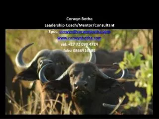 Corwyn Botha Leadership Coach/Mentor/Consultant Epos: corwyn@corwynbotha corwynbotha
