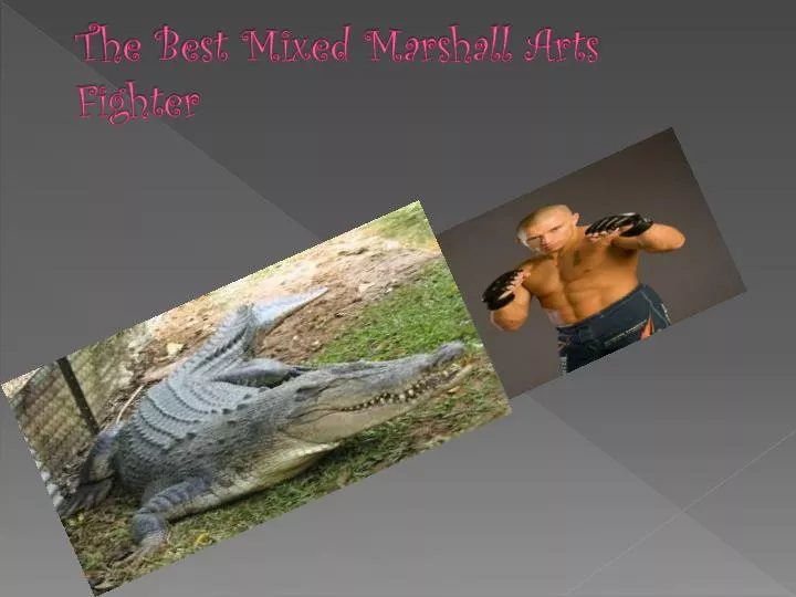 the best mixed marshall arts fighter
