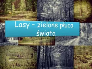 lasy zielone p uca wiata