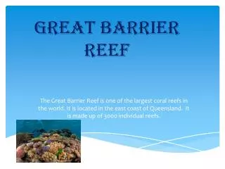 Great Barrier reef