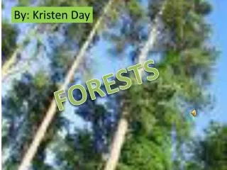 by kristen day