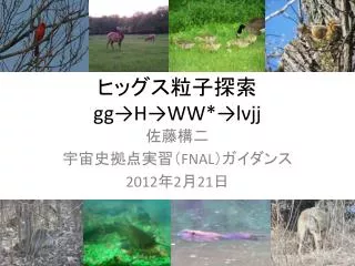 gg h ww l jj