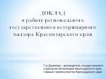 ДОКЛАД о работе регионального государственного ветеринарного надзора Краснодарского края - slide 1