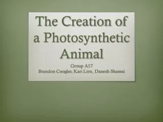 The Creation of a Photosynthetic Animal