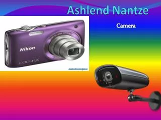 ashlend n antze