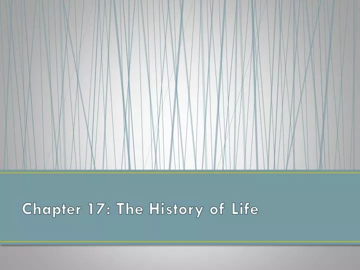 chapter 17 the history of life