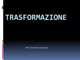 prof christian cavazzoni