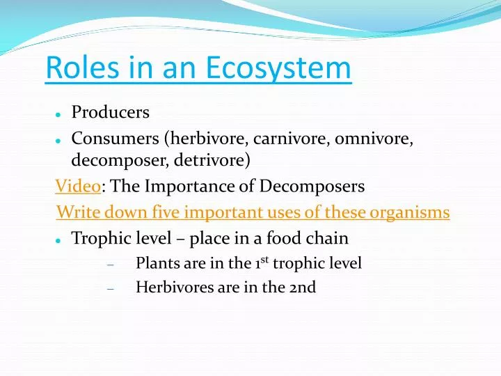 roles in an ecosystem