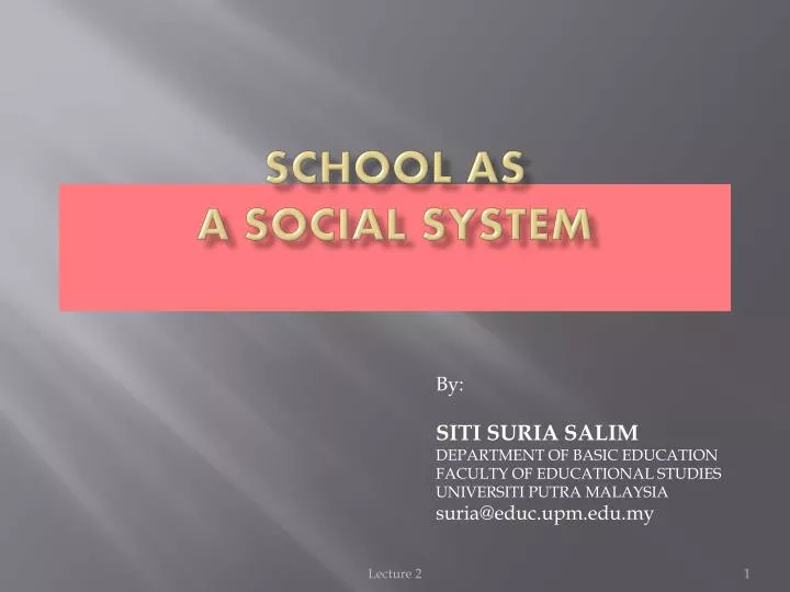 school as a social system