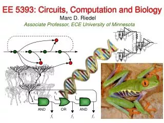 EE 5393: Circuits, Computation and Biology