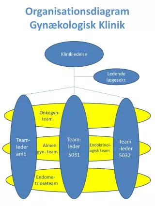 organisationsdiagram gyn kologisk klinik