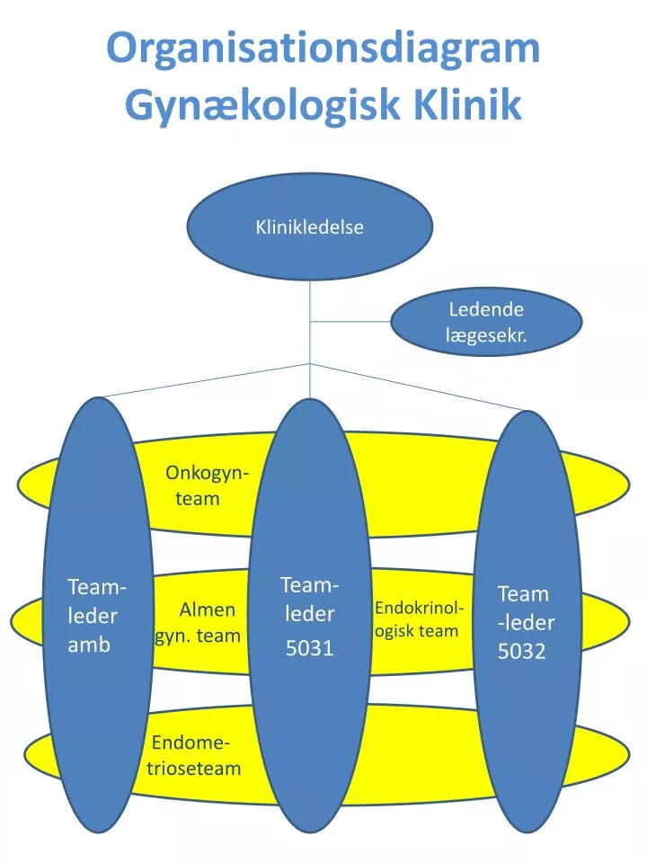 organisationsdiagram gyn kologisk klinik
