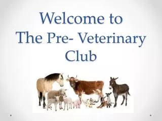 Welcome to The Pre- Veterinary Club